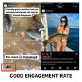 Instagram Shoutout [ 50% DISCOUNTED ] - BuzzerFish
